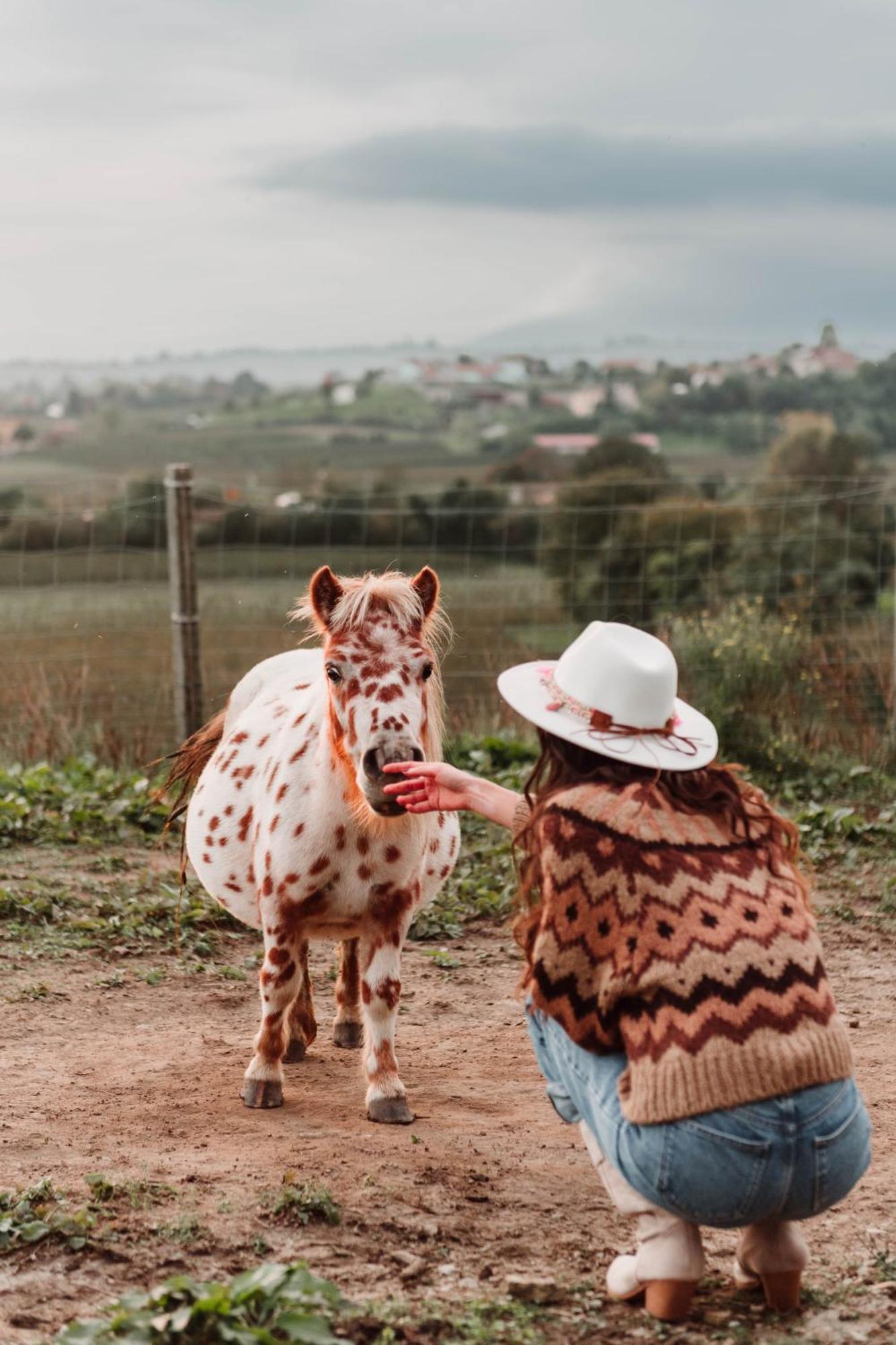 Tenuta Malvolti - Al Vecchio Convento San Fior di Sopra Bagian luar foto